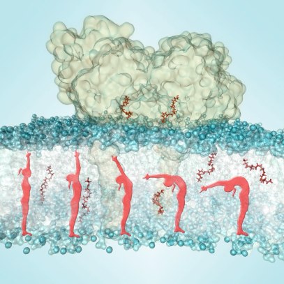 Image converted using ifftoany