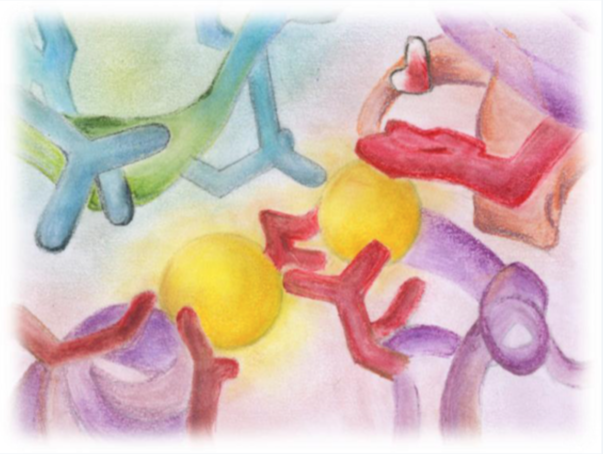 Schermata 2019-01-01 alle 20.09.38.png