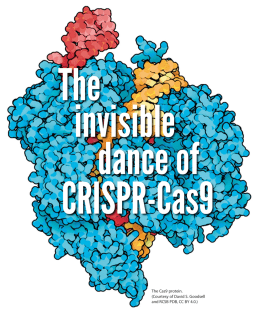 Schermata 2019-04-04 alle 10.25.35