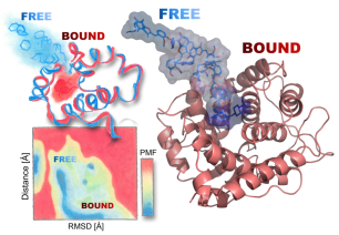 Schermata 2020-02-07 alle 17.57.50