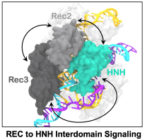 Screen Shot 2020-07-29 at 9.04.39 PM