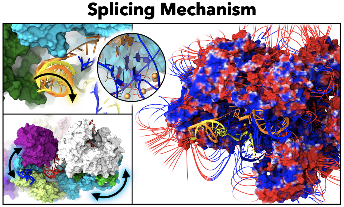 Screen Shot 2021-12-24 at 9.10.13 PM