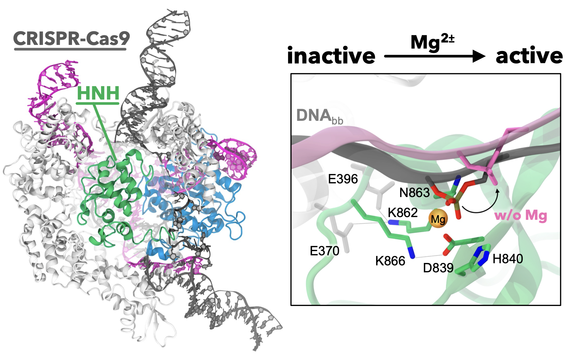 Screen Shot 2022-10-06 at 9.28.06 AM