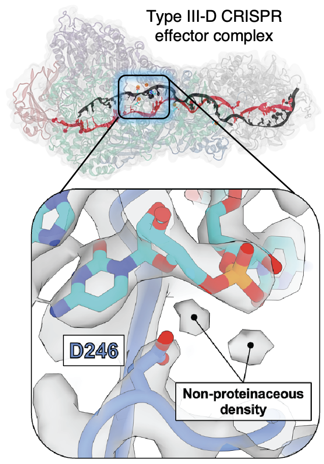 Screen Shot 2023-08-29 at 3.47.24 PM