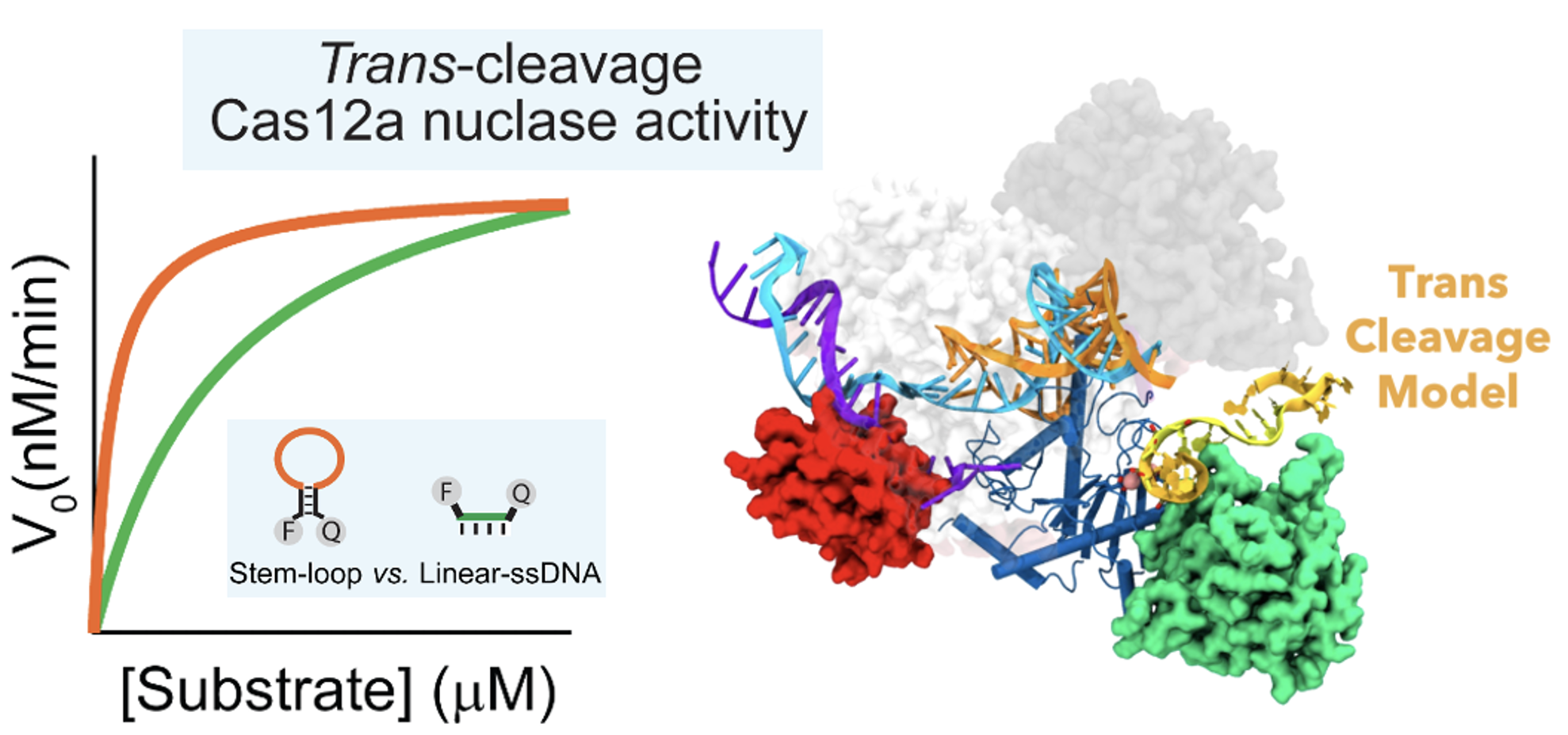 Screenshot 2024-02-24 at 11.12.14 AM