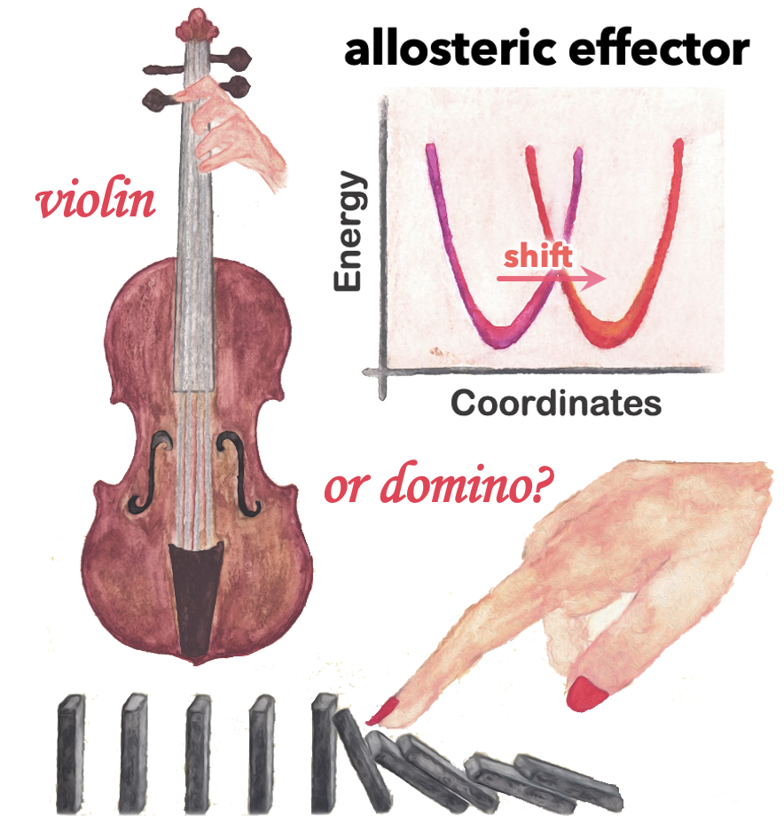 Screenshot 2024-02-24 at 11.31.58 AM