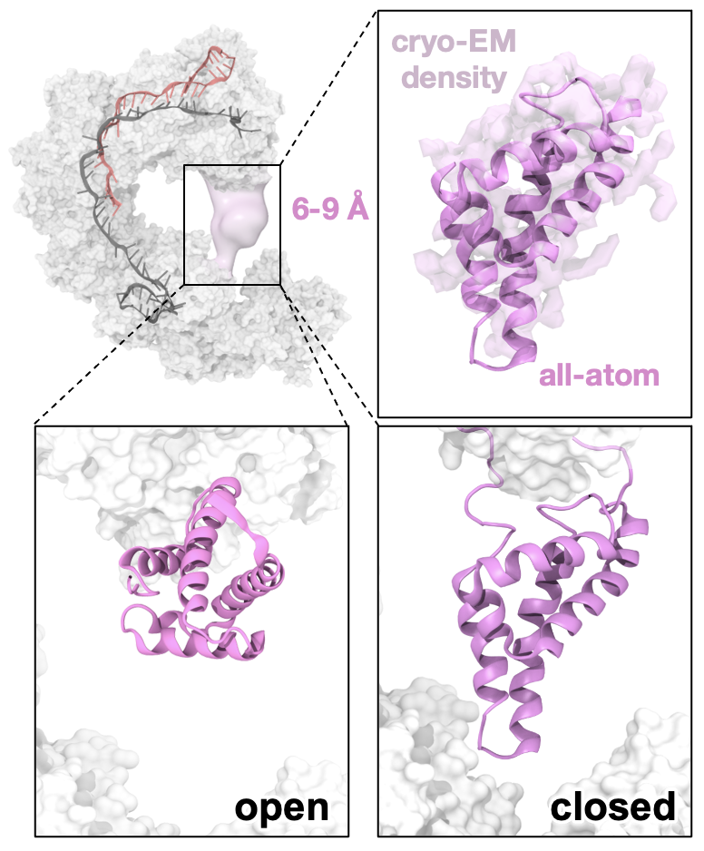 Screenshot 2025-02-19 at 11.31.13 AM